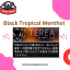 terea dubai