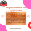 terea dubai