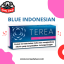 terea dubai