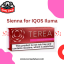 terea dubai