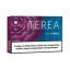 terea dubai