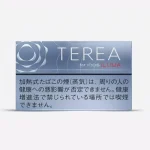 IQOS TEREA Balanced Regular full-bodied tobacco flavor heated sticks pack | Terea Dubai