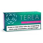 IQOS TEREA Black Green intense cooling menthol flavored heated tobacco sticks pack