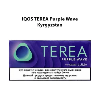 IQOS TEREA Purple Wave Kyrgyzstan UAE | Terea Dubai