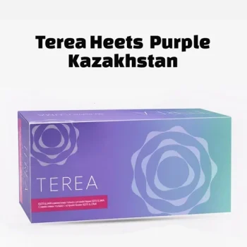 IQOS TEREA Purple Wave Kazakhstan UAE | Terea Dubai